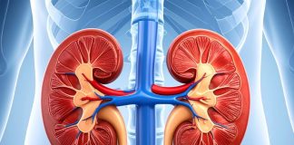 Daily Water Intake for Kidney Health Dehydration and Overhydration Risks | किडनी को हेल्दी रखने के लिए रोज कितना पानी पिएं | डिहाइड्रेशन और ओवरहाइड्रेशन के नुकसान