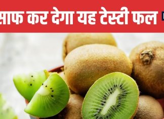 Kiwi Fruit is miracle for Constipation Relief New Study Reveals | कब्ज से राहत दिला सकता है कीवी फ्रूट | किंग्स कॉलेज लंदन की रिसर्च में खुलासा