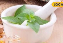 तुलसी का तेल सिरदर्द इलाज | Tulsi Oil for Migraine Relief | Ayurvedic Remedy