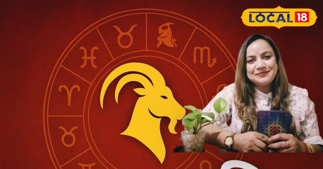 Makar Rashi 14 November Horoscope. Career, Business & Love