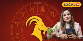 Makar Rashi 14 November Horoscope. Career, Business & Love