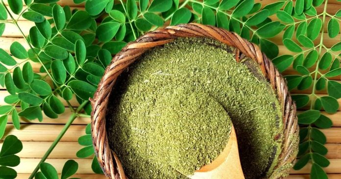 moringa-leaves-benefits-2025-11-0bd7a53581a7410d4097dbf00fda5a46-16x9.jpg