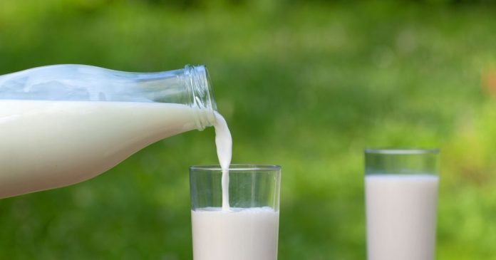 national-milk-day-2025-india-2025-11-6abd1828dc411f24e4ad3975f770b55c-16x9.jpg