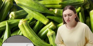 Bhindi Ke Sath Kya Na Khaye: भिंडी के साथ कभी न खाएं ये 6 चीजें, शरीर में भर देगा जहर, फायदे की जगह झेलेंगे नुकसान