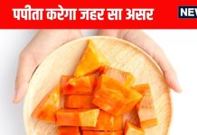 इन 5 लोगों को गलती भी नहीं खाना चाहिए पपीता, हालत हो जाएगी खराब