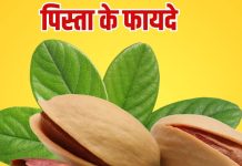 Pista khane ke fayde: पौष्टिक तत्वों का खजाना है पिस्ता, जानें इसके फायदे