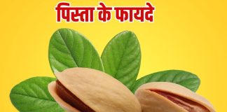 Pista khane ke fayde: पौष्टिक तत्वों का खजाना है पिस्ता, जानें इसके फायदे