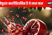 अनार खाने के फायदे: इम्यूनिटी, दिल, त्वचा और ब्लड शुगर के लिए लाभ