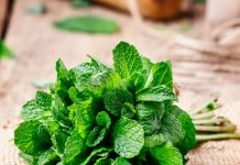 Mint benefits in winter। सर्दियों में पुदीना खाने के फायदे