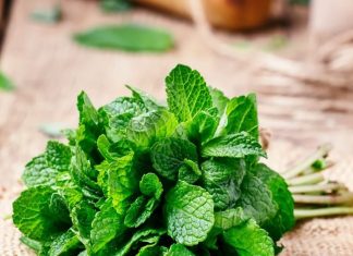 Mint benefits in winter। सर्दियों में पुदीना खाने के फायदे