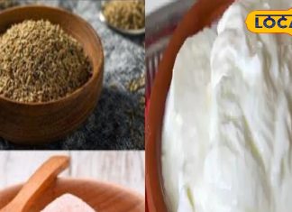 सर्दियों में दही खाने का सही तरीका | Winter Curd Benefits & Ayurvedic Tips