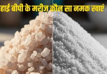 हाई ब्लड प्रेशर के मरीजों के लिए कौन सा नमक खाना सबसे सुरक्षित? डॉक्टर से जानिए काम की बात