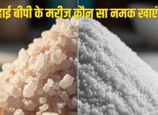 हाई ब्लड प्रेशर के मरीजों के लिए कौन सा नमक खाना सबसे सुरक्षित? डॉक्टर से जानिए काम की बात