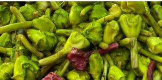 Water Chestnut Benefits in Winter Nutrition Right Way to Eat and Health Tips | सर्दियों के मौसम में रोज सिंघाड़ा खाने के फायदे