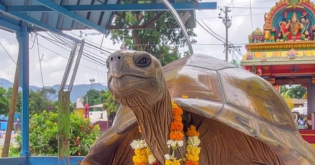 sri kurmanatha swamy temple srikakulam andhra pradesh history katha people come here to pitru tarpan for moksha | श्री कूर्मनाथ स्वामी मंदिर: जहां कच्छप अवतार में हैं भगवान, रहस्यमयी सुरंग का गया-काशी से है कनेक्शन! पितरों के लिए खुलता है मोक्ष मार्ग