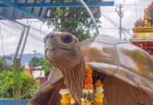 sri kurmanatha swamy temple srikakulam andhra pradesh history katha people come here to pitru tarpan for moksha | श्री कूर्मनाथ स्वामी मंदिर: जहां कच्छप अवतार में हैं भगवान, रहस्यमयी सुरंग का गया-काशी से है कनेक्शन! पितरों के लिए खुलता है मोक्ष मार्ग