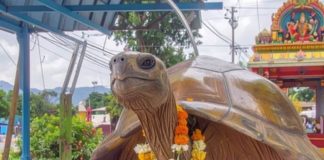 sri kurmanatha swamy temple srikakulam andhra pradesh history katha people come here to pitru tarpan for moksha | श्री कूर्मनाथ स्वामी मंदिर: जहां कच्छप अवतार में हैं भगवान, रहस्यमयी सुरंग का गया-काशी से है कनेक्शन! पितरों के लिए खुलता है मोक्ष मार्ग