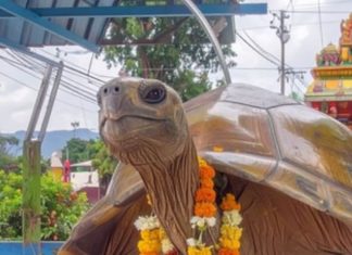 sri kurmanatha swamy temple srikakulam andhra pradesh history katha people come here to pitru tarpan for moksha | श्री कूर्मनाथ स्वामी मंदिर: जहां कच्छप अवतार में हैं भगवान, रहस्यमयी सुरंग का गया-काशी से है कनेक्शन! पितरों के लिए खुलता है मोक्ष मार्ग