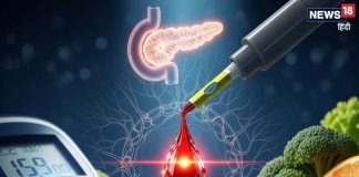 डायबिटीज का ये है असली कारण! सिर्फ मीठा खाने से नहीं बढ़ता शुगर लेवल, इन चीजों से करें कंट्रोल, वरना…