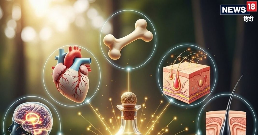 इस तेल के आगे महंगे मॉइस्चराइजर भी फेल! दर्द का मिटा देगा नामोनिशान, जानिए शीत ऋतु में लगाने अनगिनत फायदे