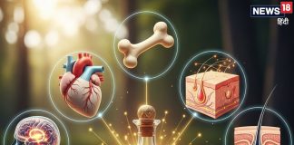 इस तेल के आगे महंगे मॉइस्चराइजर भी फेल! दर्द का मिटा देगा नामोनिशान, जानिए शीत ऋतु में लगाने अनगिनत फायदे