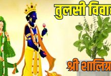 tulsi vivah 2025 shaligram aarti in hindi | shaligram aarti lyrics in hindi | तुलसी विवाह पर शालिग्राम आरती | श्री शालिग्राम जी की आरती