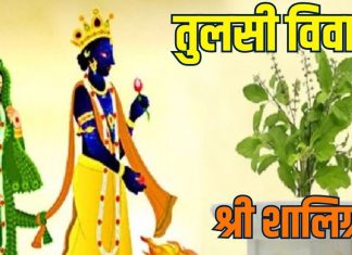 tulsi vivah 2025 shaligram aarti in hindi | shaligram aarti lyrics in hindi | तुलसी विवाह पर शालिग्राम आरती | श्री शालिग्राम जी की आरती