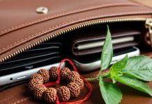 udraksha in wallet। तुलसी या रुद्राक्ष गलत रखा तो हो सकता है उल्टा असर