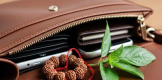 udraksha in wallet। तुलसी या रुद्राक्ष गलत रखा तो हो सकता है उल्टा असर