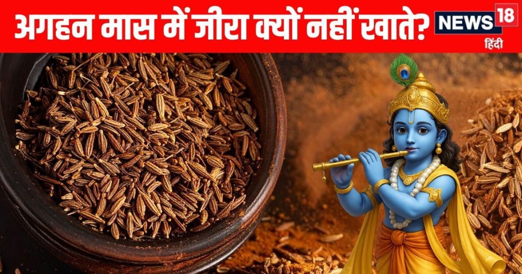 why do not eat cumin jeera in margashirsha maas | aghan maas me jeera kyu nahi khana chahiye | अगहन मास में जीरा खाना क्यों है वर्जित
