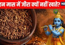 why do not eat cumin jeera in margashirsha maas | aghan maas me jeera kyu nahi khana chahiye | अगहन मास में जीरा खाना क्यों है वर्जित