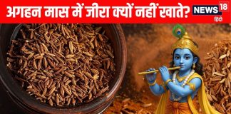 why do not eat cumin jeera in margashirsha maas | aghan maas me jeera kyu nahi khana chahiye | अगहन मास में जीरा खाना क्यों है वर्जित