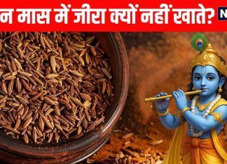 why do not eat cumin jeera in margashirsha maas | aghan maas me jeera kyu nahi khana chahiye | अगहन मास में जीरा खाना क्यों है वर्जित