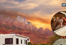 Epic Indian Road Trips : नवंबर-दिसंबर में रोड ट्रिप कर रहे हैं प्लान? 5 जगहें बिल्कुल न करें मिस! हर मोड़ है तस्वीरों सा खूबसूरत