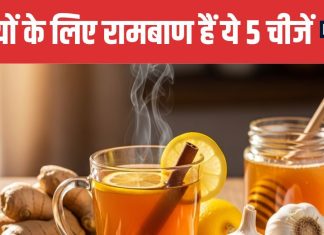 5 Winter Superfoods for Immunity | ठंड में ये 5 चीजें सेहत के लिए रामबाण
