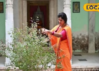 क्यों खास है मार्गशीर्ष महीना? इस तरह करें तुलसी पूजन, घर में हमेशा रहेगी सुख समृद्धि, नहीं होगी आर्थिक तंगी