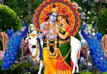 दिल जीत लेगा ये 31.30 मिनट का गाना, सुनकर दीन-दुखियों का कष्ट होगा हल्का, राधे तेरे चरणों की धूल जो मिल जाए…