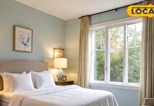 दक्षिण दिशा में रख दें ये 3 सजावटी चीजें… उमड़ पड़ेगा ‘कुबेर का खजाना’! जानें वास्तु का ये उपाय