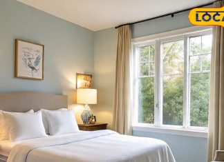 दक्षिण दिशा में रख दें ये 3 सजावटी चीजें… उमड़ पड़ेगा ‘कुबेर का खजाना’! जानें वास्तु का ये उपाय