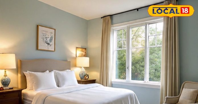 दक्षिण दिशा में रख दें ये 3 सजावटी चीजें... उमड़