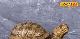 पूरब में रखने से तरक्की तय, उत्तर दिशा भी शुभ…ये कछुआ बदल सकता है आपकी किस्मत, जानें कैसे