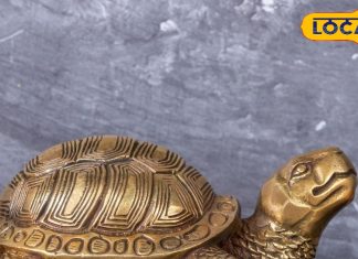 पूरब में रखने से तरक्की तय, उत्तर दिशा भी शुभ…ये कछुआ बदल सकता है आपकी किस्मत, जानें कैसे