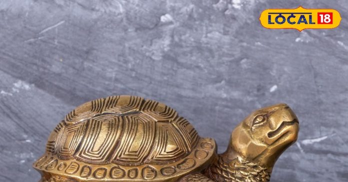 पूरब में रखने से तरक्की तय, उत्तर दिशा भी शुभ...ये