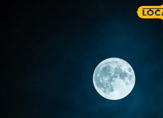 बनते काम भी हैं बिगड़ते, तो मार्गशीर्ष पूर्णिमा पर करें ये 5 उपाय और फिर देखें कैसे बदलती है किस्मत