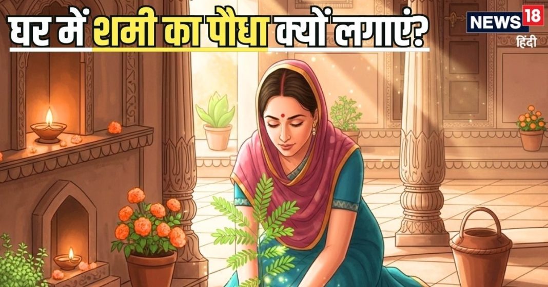 बेहद पवित्र और शुभ है यह पौधा, घर में रखने से 1,2 या फिर 3 नहीं… होंगे ढेरों लाभ, जानिए कहां और कैसे लगाएं