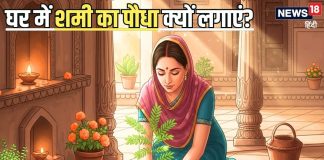 बेहद पवित्र और शुभ है यह पौधा, घर में रखने से 1,2 या फिर 3 नहीं… होंगे ढेरों लाभ, जानिए कहां और कैसे लगाएं