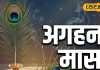 मार्गशीर्ष माह में करें इन चीजों का दान, भगवान श्रीकृष्ण बरसाएंगे कृपा, धन-धान्य से भर जाएगा घर!