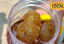 घर पर बिना झंझट बनाएं बाजार जैसा आंवले का मुरब्बा, हर कोई पूछेगा रेसिपी – Uttar Pradesh News