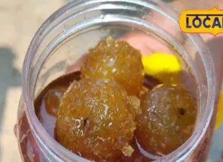 घर पर बिना झंझट बनाएं बाजार जैसा आंवले का मुरब्बा, हर कोई पूछेगा रेसिपी – Uttar Pradesh News