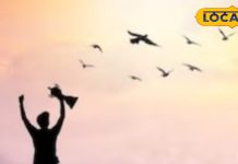 रास्ते में अगर दिखें अनाज, सिक्का, झाड़ू समेत ये 7 चीजें… तो मिलेगा छप्पर फाड़ पैसा! बदल जाएगी किस्मत